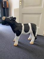 Koe / kalf, Dieren en Toebehoren, Ophalen, Gebruikt