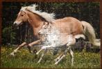 Leuke puzzel Haflinger met veulen paard 100st, Minder dan 500 stukjes, Ophalen of Verzenden, Legpuzzel, Zo goed als nieuw