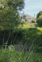 Gezocht reisgenoot m/v, Contacten en Berichten, Reisgenoten en Carpoolers