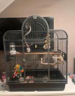 Zeer mooie grote vogelkooi met standaard, Ophalen, Zo goed als nieuw, Metaal, Vogelkooi