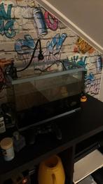 Klein bakje zonder lichtkap, Dieren en Toebehoren, Vissen | Aquaria en Toebehoren, Ophalen of Verzenden, Zo goed als nieuw, Leeg aquarium