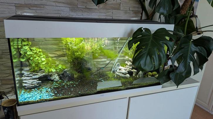 Juwel Rio 180 Led, koeling en vele diverse toebehoren.De con, Dieren en Toebehoren, Vissen | Aquaria en Toebehoren, Gebruikt, Gevuld zoetwateraquarium