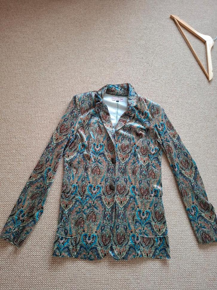 Tessa Koops fluwelen jasje  Nieuw  Small, Kleding | Dames, Jasjes, Kostuums en Pakken, Nieuw, Jasje, Maat 36 (S), Overige kleuren