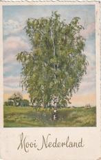 LANDSCHAP BOOM UIT 1960 ZEER MOOIE OUDE KAART KH195, Ophalen of Verzenden, 1940 tot 1960, Gelopen, Natuur