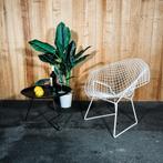 Knoll International - Diamond Chair Outdoor - Fauteuil - Wit, Gebruikt, Verzenden, 75 tot 100 cm, 75 tot 100 cm