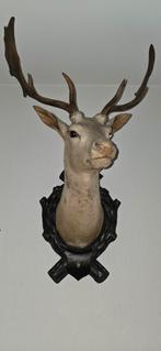 Opgezet Edelhertenkop met Gewei, Ophalen