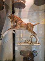 Hutschenreuther Kunstabteilung – Steigerend Paard |Porselein, Ophalen, Zo goed als nieuw, Dier