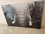 Olifant schilderij van glas., Ophalen, Zo goed als nieuw, Schilderij, 75 cm of meer