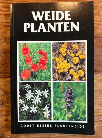 Weideplanten beschikbaar voor biedingen