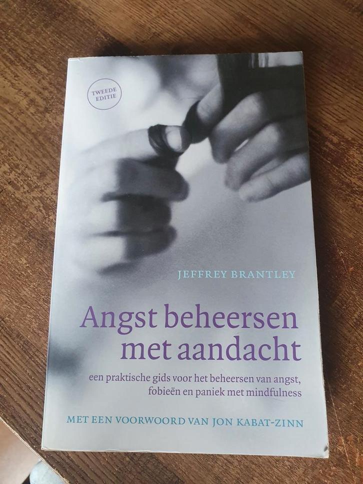 Angst beheersen met aandacht - Jeffrey Brantley, Boeken, Psychologie, Zo goed als nieuw, Ontwikkelingspsychologie, Ophalen of Verzenden