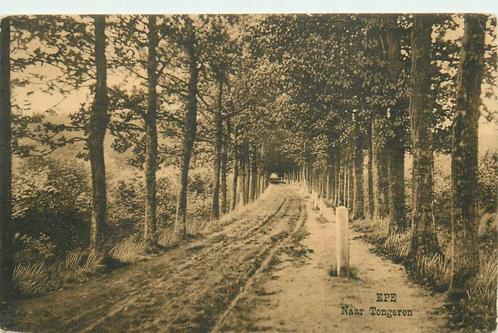 (387-137-019) Epe Naar Tongeren, Verzamelen, Ansichtkaarten | Nederland, Gelderland, Voor 1920, Verzenden