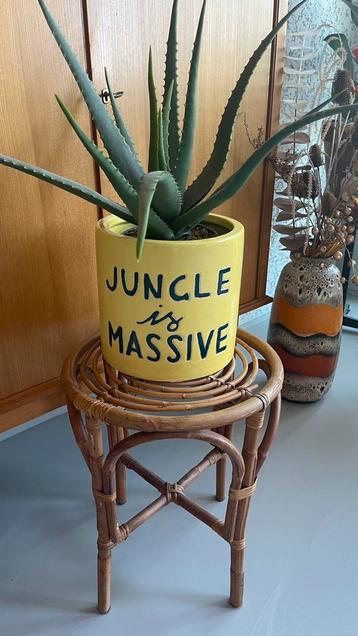 💕 Toffe krukjes ! Orig pr 69,95 p/stuk - nu 25,- p/stuk beschikbaar voor biedingen