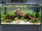 Aquarium met eventueel cichliden, Dieren en Toebehoren, Vissen | Aquaria en Toebehoren, Ophalen, Gebruikt, Gevuld zoetwateraquarium