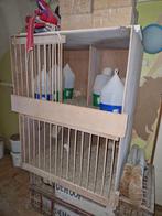 Duivenhokken, Dieren en Toebehoren, Vogels | Hokken en Kooien, Ophalen of Verzenden, Hout, Vogelkooi