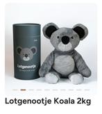 Lotgenootje koala beer, Ophalen, Nieuw