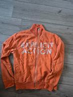 Vest d&g S gratis (alleen verzenden), Kleding | Dames, Ophalen of Verzenden, Nieuw