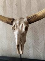 Longhorn schedel op standaard, Ophalen of Verzenden, Zo goed als nieuw
