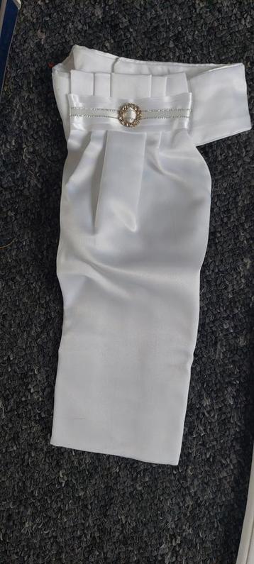 Plastron beschikbaar voor biedingen