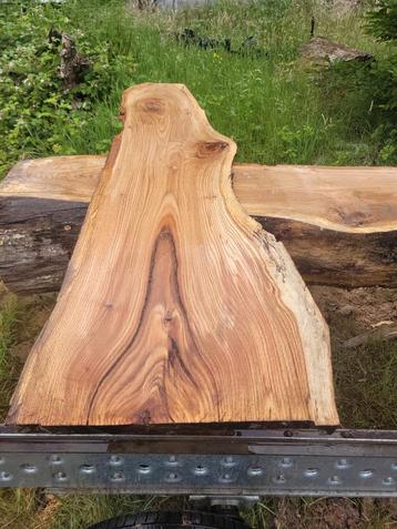 Schaaldeel boomstamtafel boomplank sidetable EIK beschikbaar voor biedingen