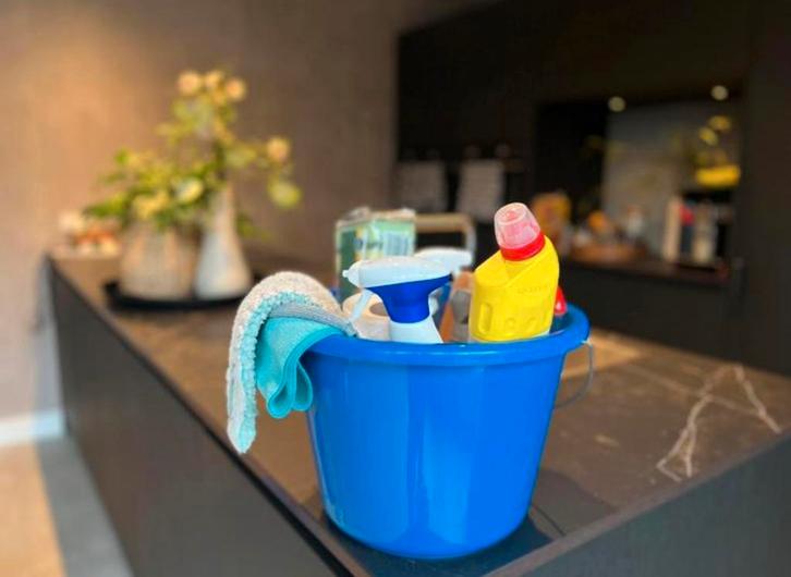 Schoonmaakster aangeboden ZZP, Vacatures, Vacatures | Schoonmaak en Facilitaire diensten, Overige niveaus, Overige vormen