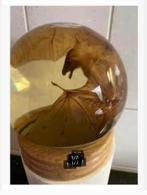 Korting XL glas bol, met echte opgezette vleermuis, Verzamelen, Ophalen, Zo goed als nieuw, Overige soorten, Opgezet dier