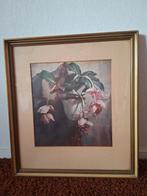 Schilderij Medinella Magnifica met goudkleurige lijst, Ophalen