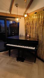 Gedemonteerde Baby Grand Vleugel - Restauratieproject, Ophalen, Gebruikt, Zwart, Vleugel