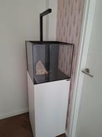 Waterbox Cube 20 incl. techniek, Dieren en Toebehoren, Ophalen, Gebruikt, Leeg aquarium