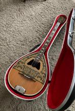 Bouzouki (grieks) + lesboeken en standaard, Muziek en Instrumenten, Snaarinstrumenten | Overige, Ophalen, Zo goed als nieuw, Luit, Saz of Bouzouki