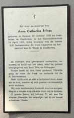 Bidprentje Anna Catharina Trines 1881-1953 Eindhoven, Ophalen of Verzenden, Bidprentje