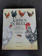 Lewis - Kippen in Beeld, Ophalen of Verzenden, Vogels, Lewis, Zo goed als nieuw