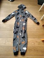 onesie, Kinderen en Baby's, Kinderkleding | Maat 164, Gebruikt, Ophalen of Verzenden