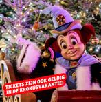 Efteling ticket geldig tot 1-4-2026 niet in kerstvakantie, Eén persoon, Ticket of Toegangskaart