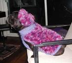 Hondenjas met baret gebreid met fantasiegaren, Dieren en Toebehoren, Ophalen of Verzenden, Nieuw, Hondenjas