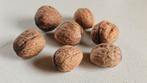 Walnoten / Okkernoten Biologisch, vers van de boom, Diversen, Ophalen