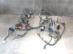 Monster 750 1996 - 2004 Ducati Kabelboom D1-61345, Motoren