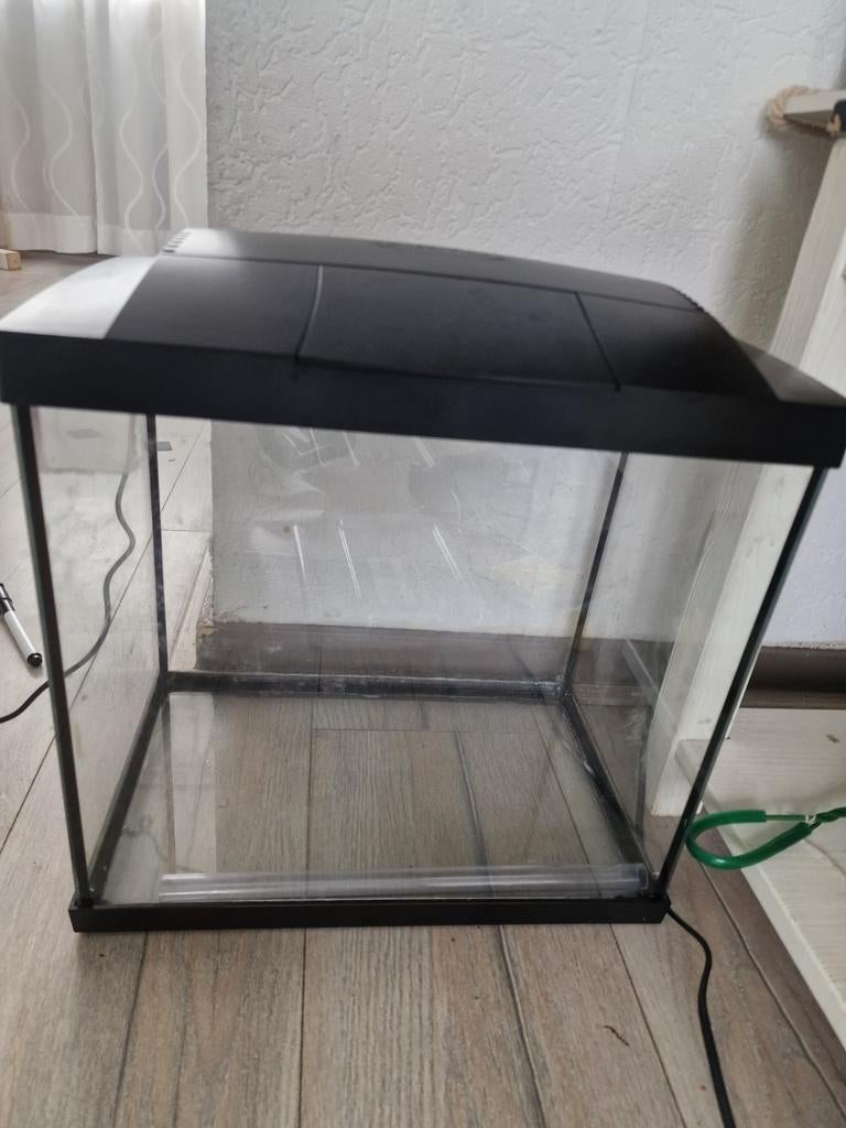 Leuk Aquarium !, Ophalen, Leeg aquarium