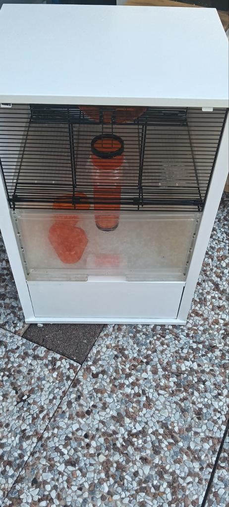 Omlet hamsterkooi, Dieren en Toebehoren, Ophalen of Verzenden, Kooi