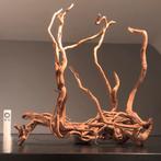 Uniek stuk Spiderwood / Driftwood / Kienhout, Hout Decoratie, Ophalen of Verzenden, Zo goed als nieuw, Plant(en), Steen of Hout