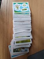 Coop dieren dichtbij stickers, Coop, Ophalen of Verzenden