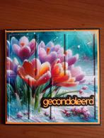 Kaart gecondoleerd krokussen 585 = 1,75, Hobby en Vrije tijd, Ophalen of Verzenden, Zo goed als nieuw, Overige thema's