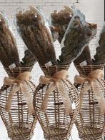 Rivièra maison rr vase
( 2 droogboeketten kado ), Overige materialen, Overige kleuren, 50 tot 75 cm, Nieuw