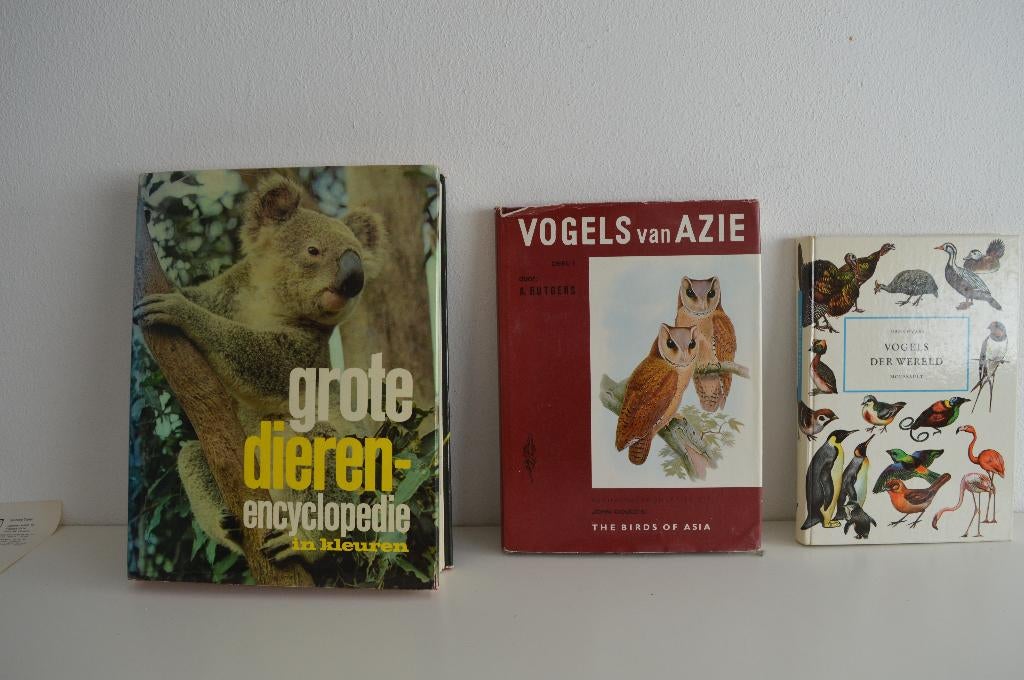 Partij boeken, Boeken, Ophalen, Gelezen, Verschillende onderwerpen