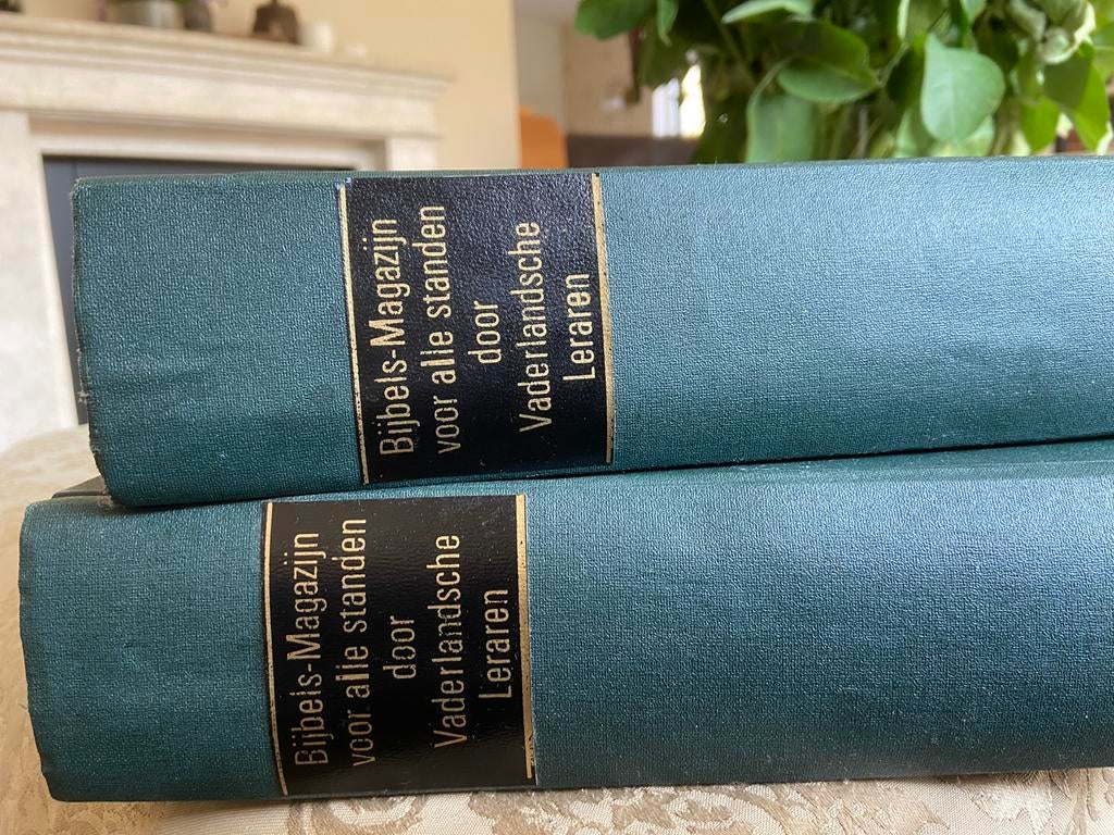 Bijbelsch Magazijn voor alle standen, Ophalen of Verzenden, Gelezen, Christendom | Protestants