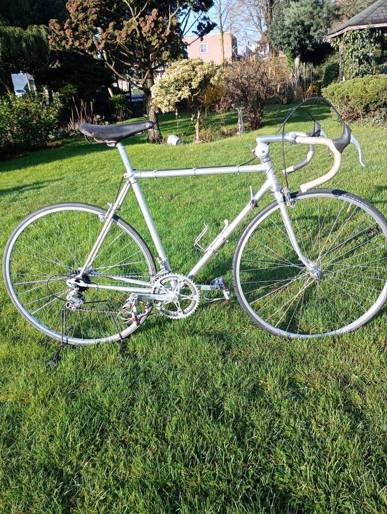 Alan 1972     54 cm., Ophalen of Verzenden, Carbon, Meer dan 20 versnellingen, Overige merken