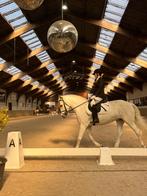 Verzorg pony gezocht, Eén persoon