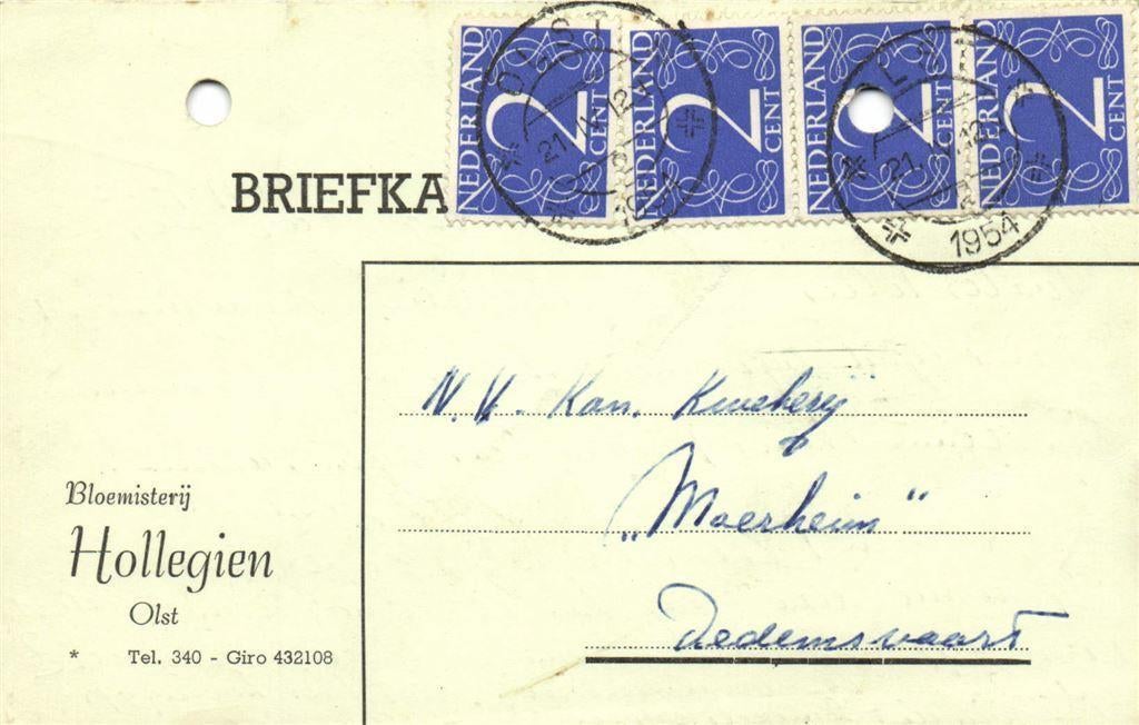 Bloemisterij Hollegien, Olst - 04.1954 - briefkaart, Ophalen of Verzenden, Briefkaart