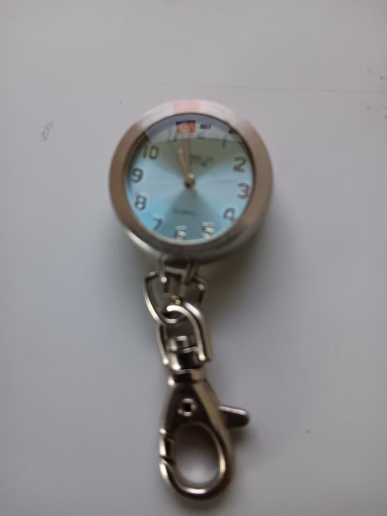 Strobelzo Collection Verpleegstershorloge - RVS, Sieraden, Tassen en Uiterlijk, Horloges | Dames, Overige merken, Staal, Zakhorloge