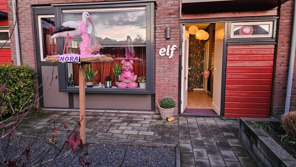 Geboorte ooievaar op paal voor jongen of meisje, Kinderen en Baby's, Kraamcadeaus en Geboorteborden, Ophalen of Verzenden