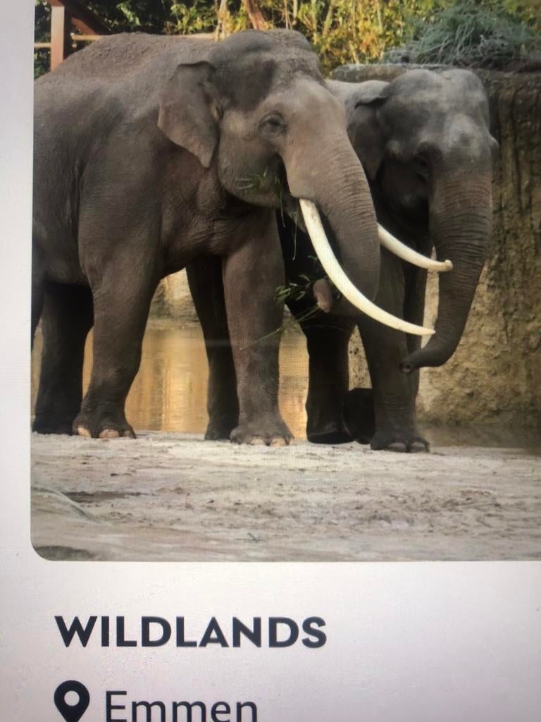 Uitstapjes vriendenloterij, Drie personen of meer, Ticket of Toegangskaart